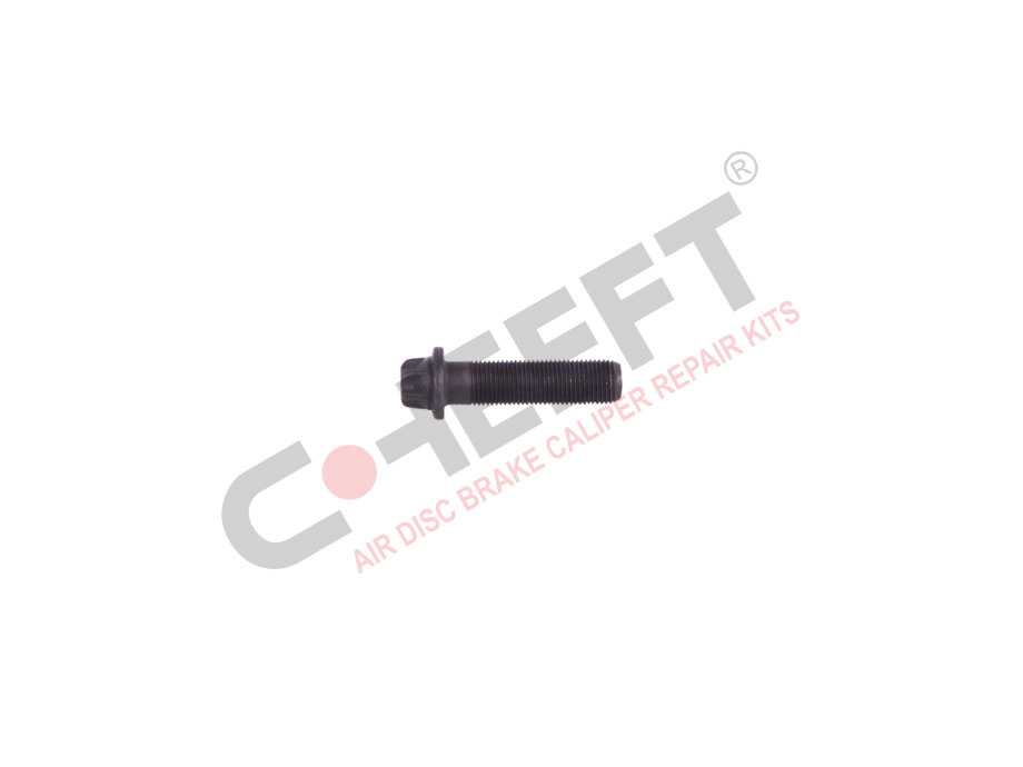 Болт крышки суппорта WABCO PAN17/19/22 (M10x1.0x40mm) CHEEFT 3515