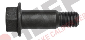 Болт крепления скобы суппорта SAF M16x1,5 D19x55 установочный CHEEFT 4589